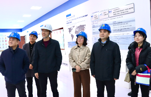 陽(yáng)光電源股份、宜賓智能制造行業(yè)協(xié)會(huì)、宜賓安徽商會(huì)調(diào)研遠(yuǎn)東電纜（宜賓）